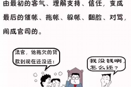 湖南湖南的要账公司在催收过程中的策略和技巧有哪些？